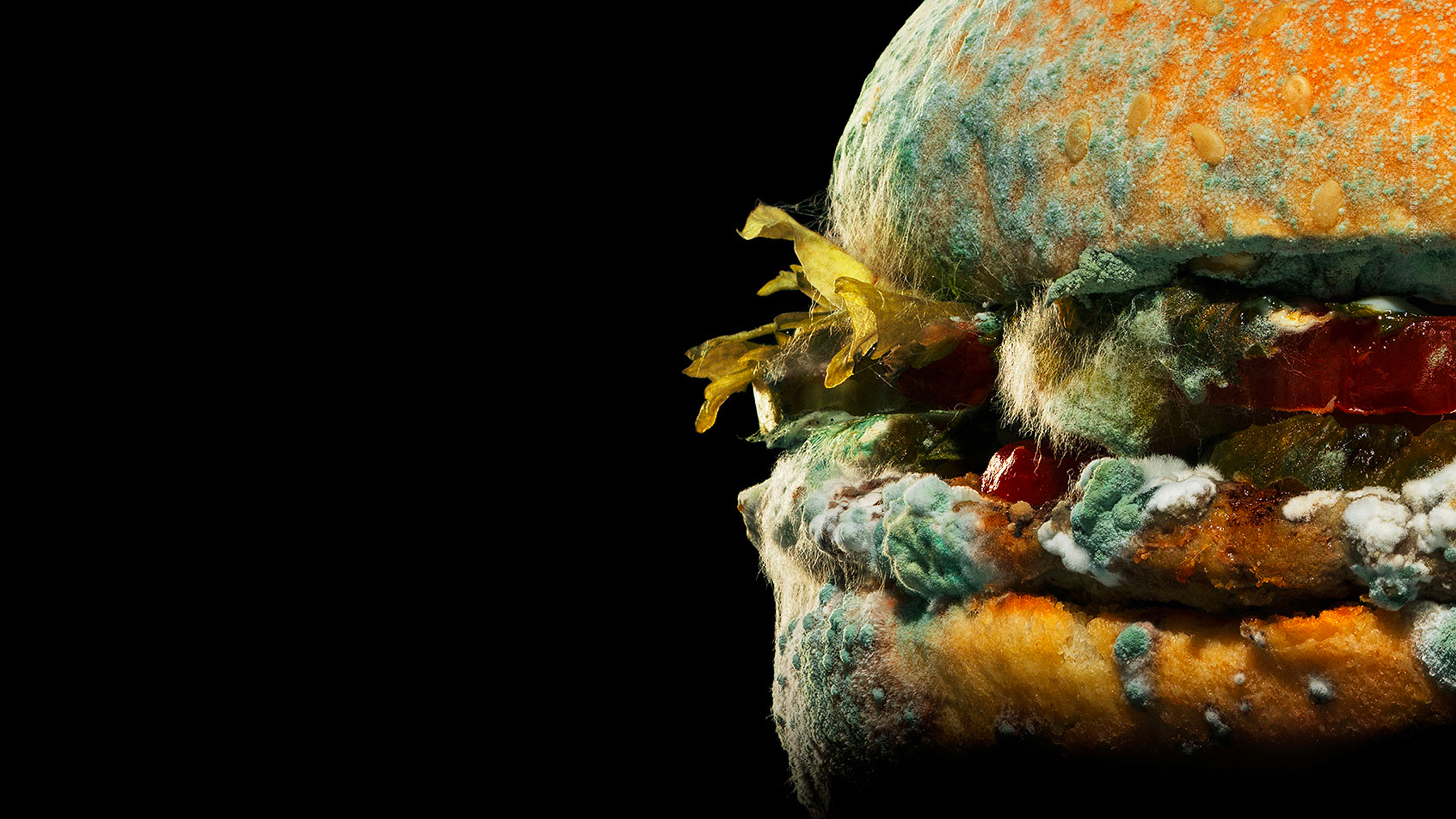 Burger King — The Moldy Whopper